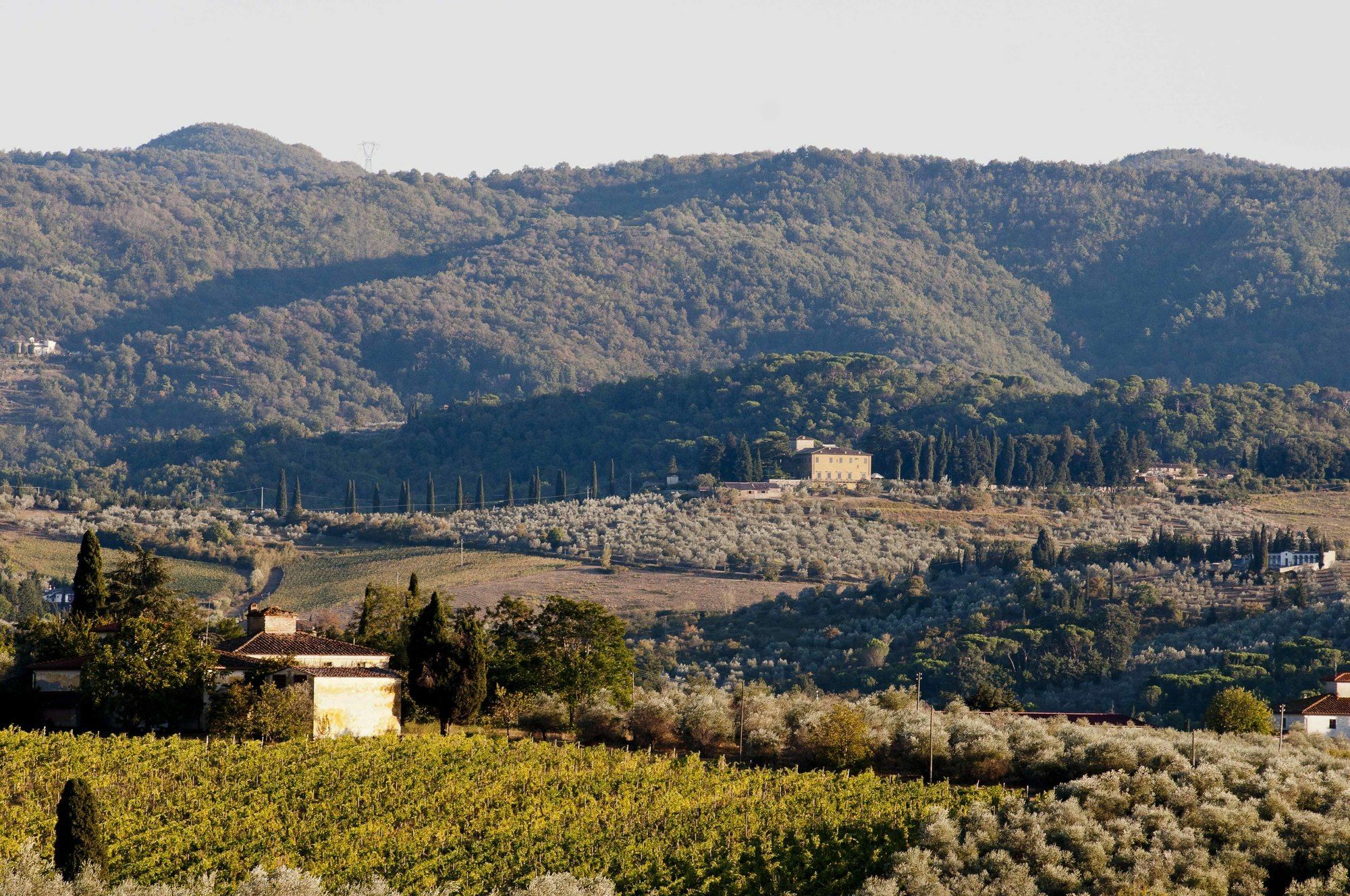 Villa Medicea Di Lilliano Grassina Bagian luar foto
